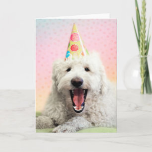 Carte Goldendoodle avec Casquette du parti