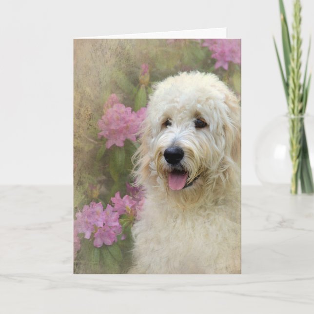 Carte Goldendoodle avec texture (Devant)
