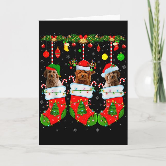 Carte Goldendoodle Dog In Christmas Socks Funny Pet Dog  (Devant)