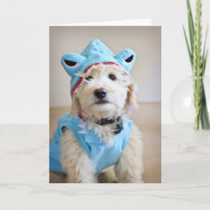 Carte Goldendoodle En Costume De Requin