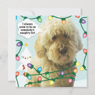 Carte Goldendoodle Noël, Doodle Amusement