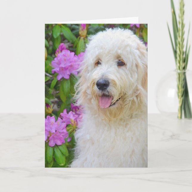Carte Goldendoodle Penser à vous (Devant)