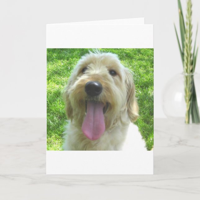 Carte Goldendoodle Products (Devant)