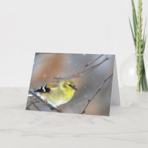 Carte Goldfinch