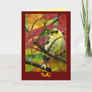 Carte Goldfinch dans l'amitié d'automne