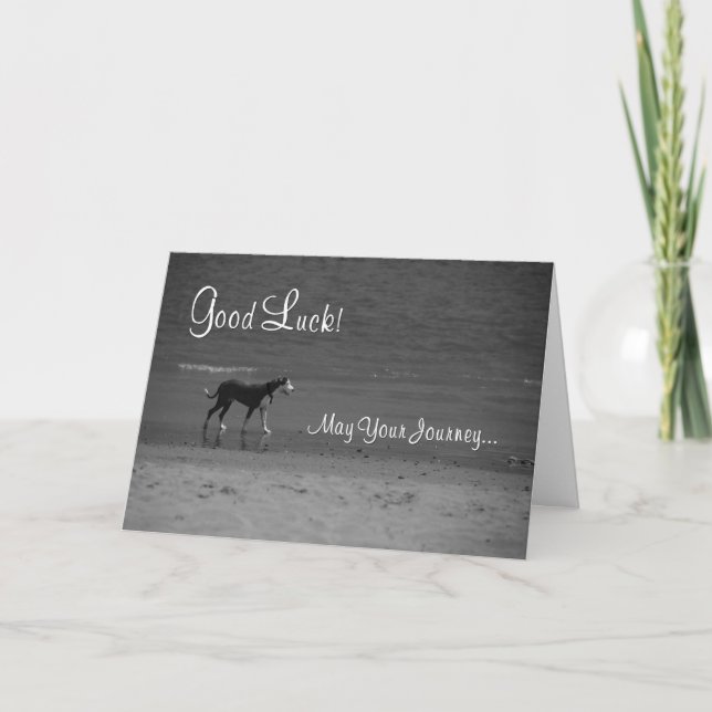 Carte Good Luck Dog on the Beach (Devant)
