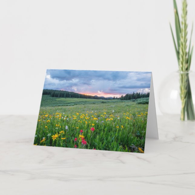 Carte Good Morning Meadow, (Devant)