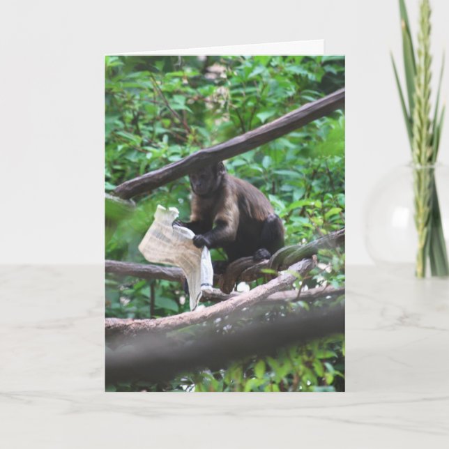 Carte Good News Monkey exprime ses félicitations (Devant)