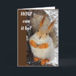 Carte GOOFY SQUIRREL SAYS HAPPY **50th**<br><div class="desc">HOPE THAT YOUR BIRTHDAY ****IS VERY HAPPY SAYS SQUIRREL WHO IS SHOCKED AT YOUR AGE****  WHICH YOU CAN CHANGE IN SECONDS AS YOU KNOW AND THANKS FOR STOPPING BY 1 OF MY 8 STORES!!!!</div>