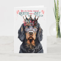 Gordon Setter Queen pour une journée Anniversaire