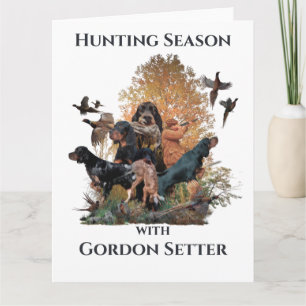 Carte Gordon setters, Art