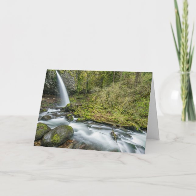 Carte Gorge du fleuve Columbia, Ponytail Falls (Devant)