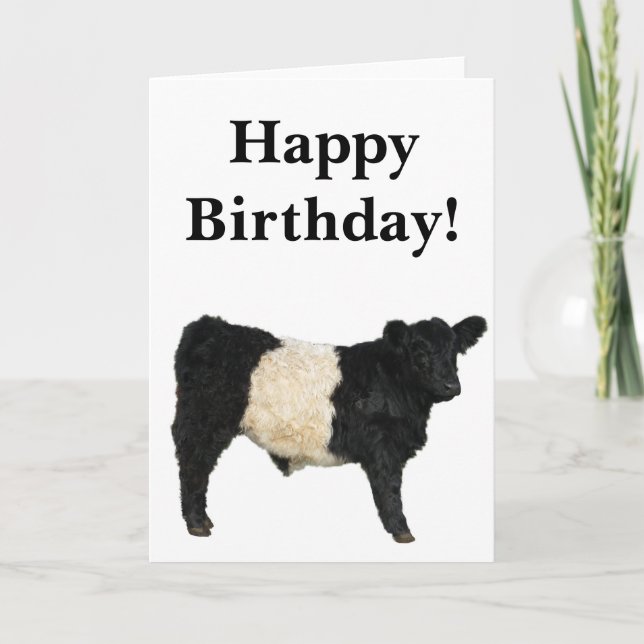 Carte Gorgeous Belted Galloway Steer Cutout Card (Devant)