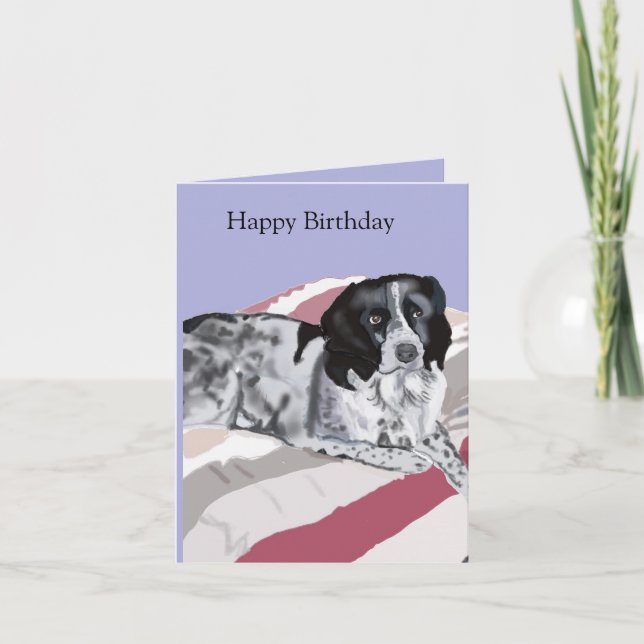 Carte Gorgeous Black and White Springer Spaniel (Devant)