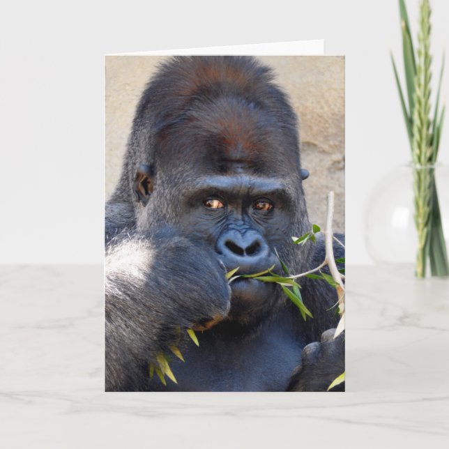 Carte Gorilla (Devant)