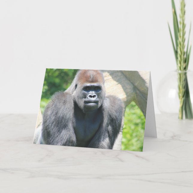 Carte Gorilla Argent Back (Devant)