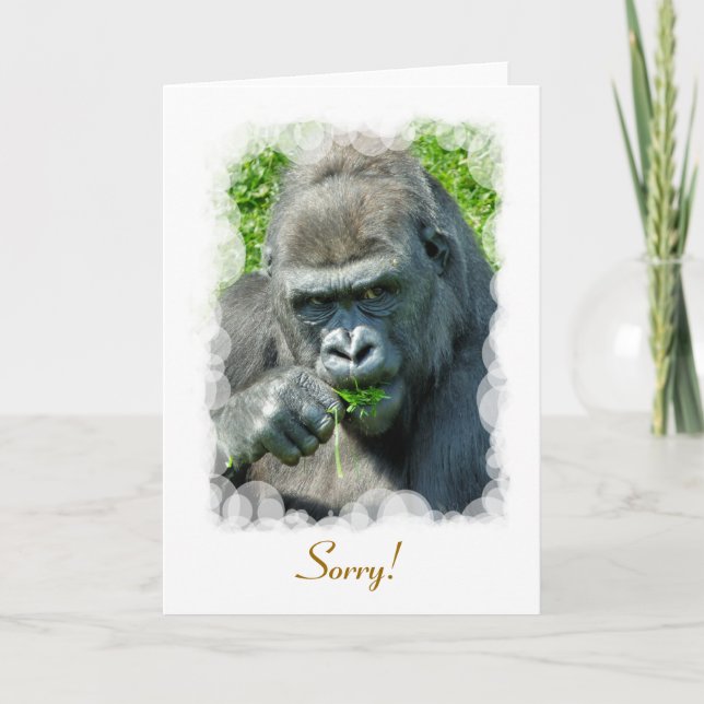 CARTE GORILLAS (Devant)