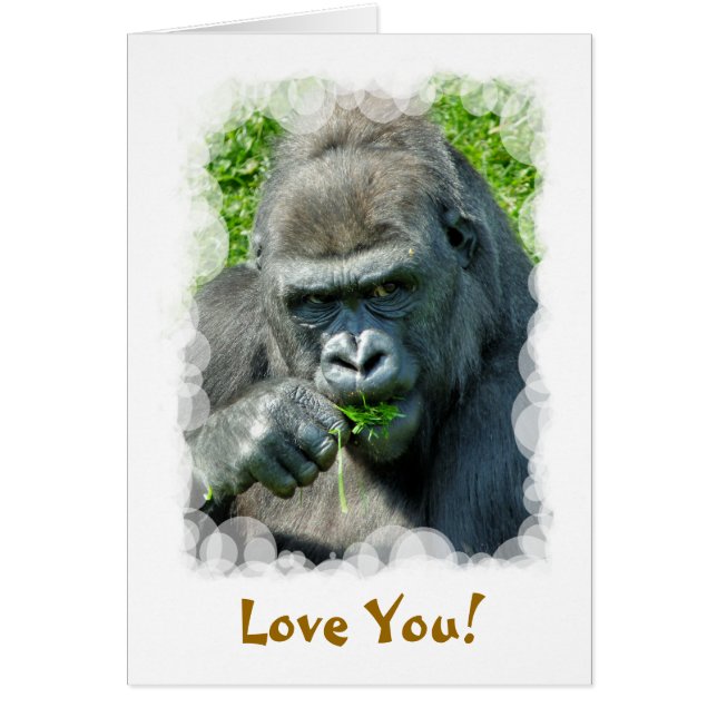 Carte GORILLAS (Devant)