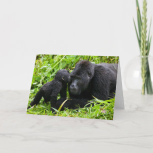 Carte Gorin bébé des montagnes embrasse un gorille dos a