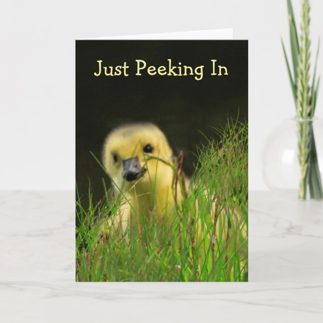 Carte Gosling Baby Bird Encouragement (Devant)