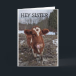 CARTE GOT THE MOOS (NEWS) HAPPY "BIRTHDAY" TO YOU<br><div class="desc">THIS COW LIVES A FEW MILES FROM US. ON LOVE LE HE POSED THE OTHER DAY AND NOW HE CAN SAY "HAPPY BIRTHDAY" IN A FUN WAY TO SOMEONE IN "YOUR LIFE" THANKS FOR STOPPING BY 1 OF MY 8 STORES!</div>