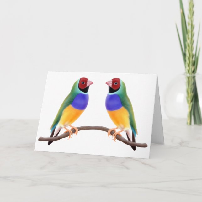 Carte Gouldian Finch Friends (Devant)