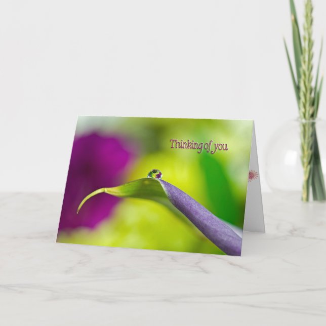 Carte gouttelette d'eau sur la feuille de lys-Penser de  (Devant)