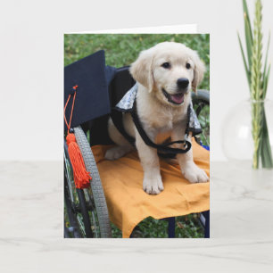 Carte Graduate Penny