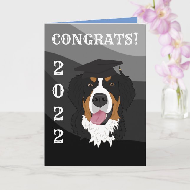 Carte Graduation Bernese Mountain Dog (Orchidée)