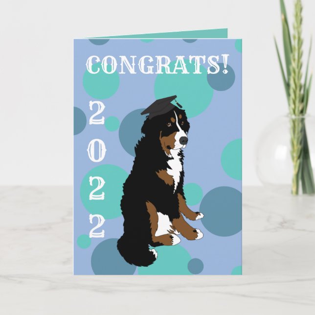 Carte Graduation Bernese Mountain Dog (Devant)