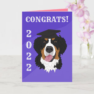Carte Graduation Bernese Mountain Dog