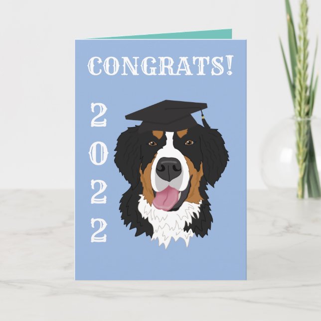 Carte Graduation Bernese Mountain Dog (Devant)