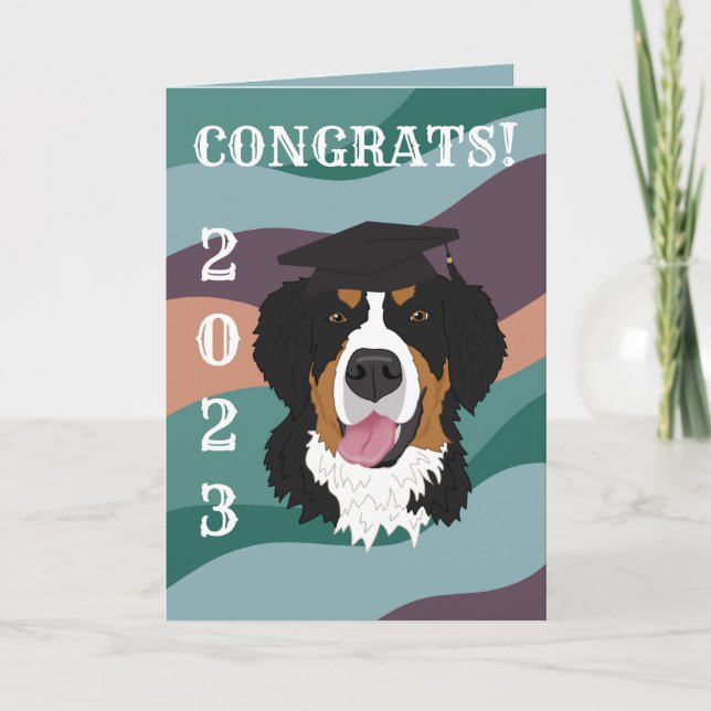 Carte Graduation Bernese Mountain Dog (Devant)