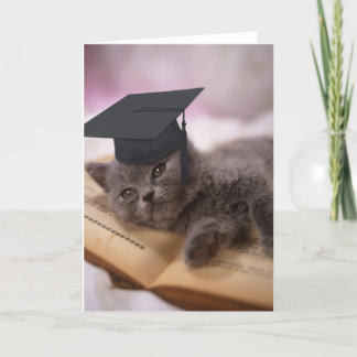 Carte Graduation, cat with hat