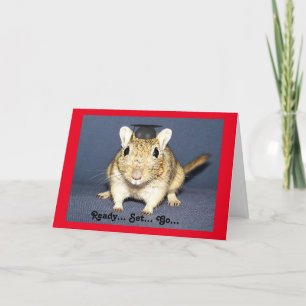 Carte Graduation Gerbil