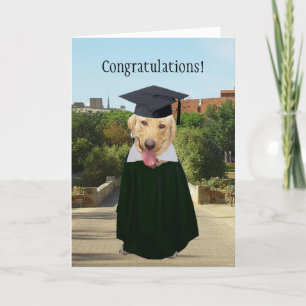 Carte Graduation sur mesure pour chien/laboratoire