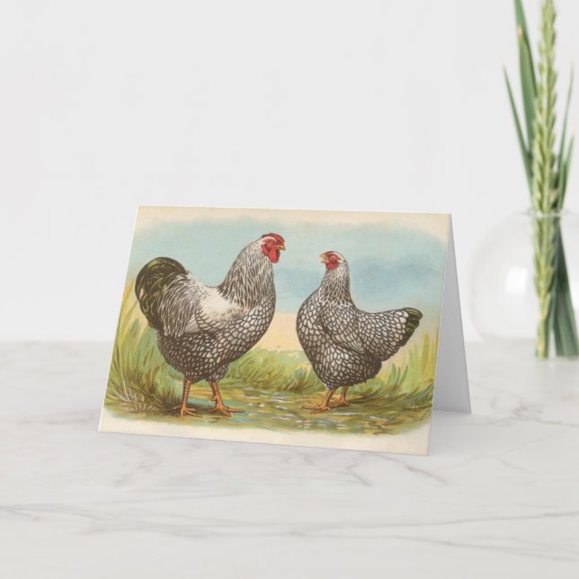Carte Graham - Poulets Wyandotte Laced Argent (Devant)