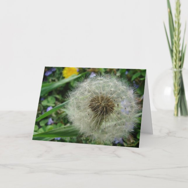 Carte Graines de Dandelion (Devant)