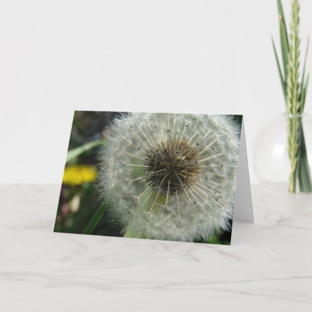 Carte Graines de Dandelion (Devant)