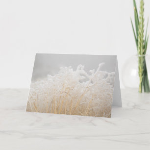 Carte Grains d'hiver congelés