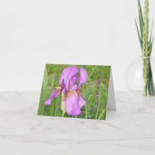 Carte Grand bel iris, sympathie