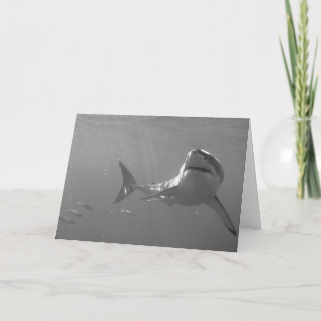 Carte Grand blanc (Devant)