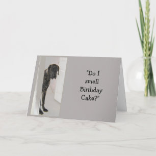 Carte Grand Danois Chien Humour Gâteau d'anniversaire Am