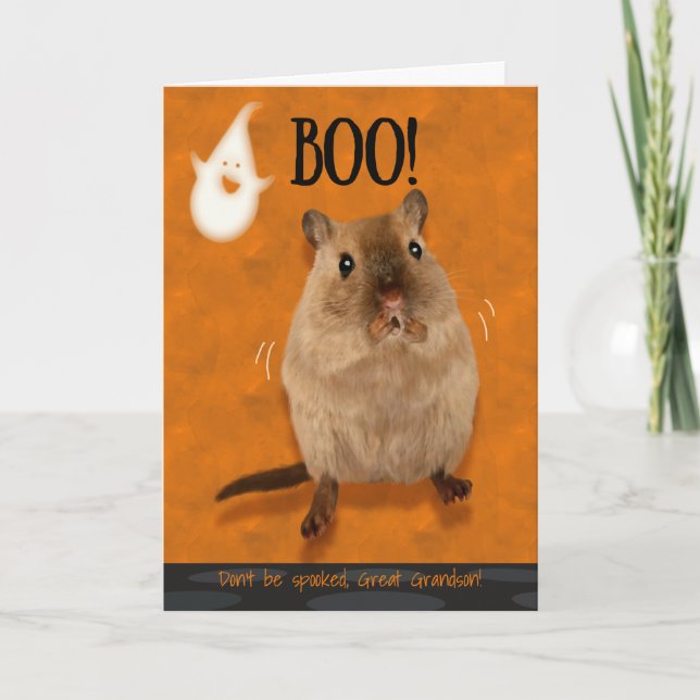 Carte Grand-fils Boo Humoristique Halloween Gerbil (Devant)
