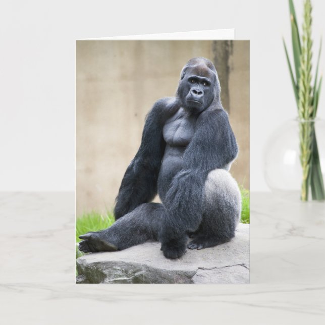 Carte grand format (Devant)