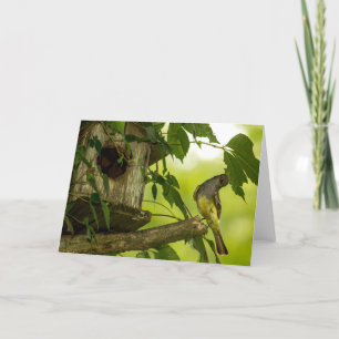 Carte Grand Moucherolle