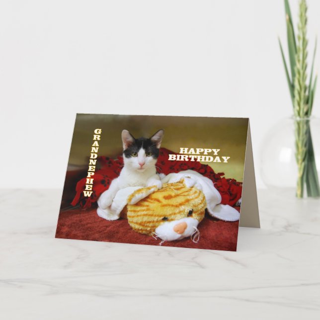 Carte Grand neveu Joyeux Kitten d'anniversaire avec Tige (Devant)