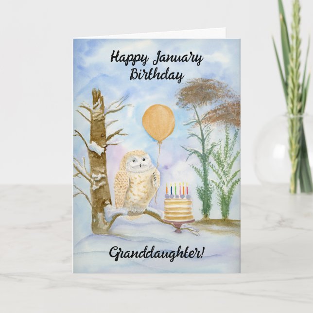 Carte Granddaughter Happy January Birthday Owl Cake (Devant)