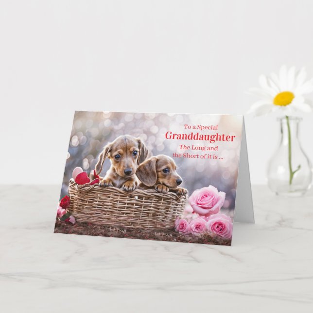 Carte Granddaughter Happy Valentines Day Cute Puppy Dogs (Petite plante)