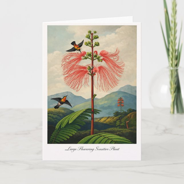 Carte Grande plante sensible à fleurs - Botanique modern (Devant)